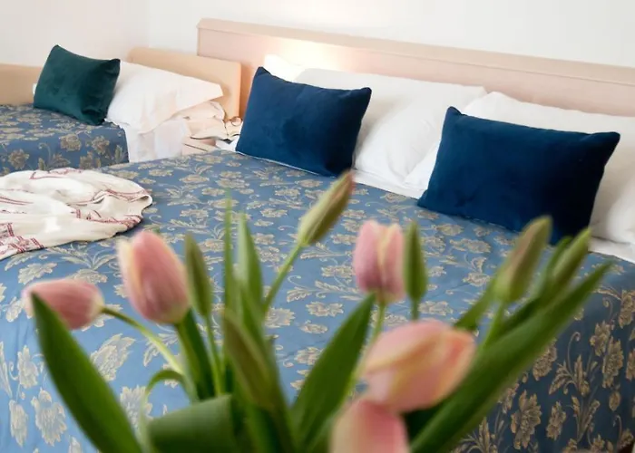 Nautilus Forte dei Marmi