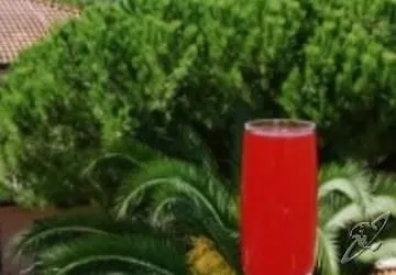 Nautilus Hotel Forte dei Marmi